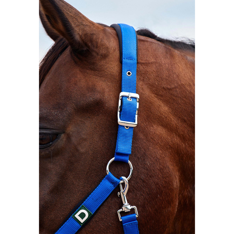 Dublin Neo Comfort Headcollar - Cobalt-1