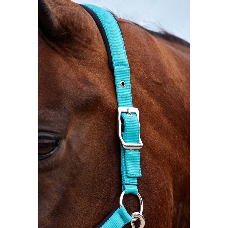 Dublin Neo Comfort Headcollar - Dark Turquoise-1