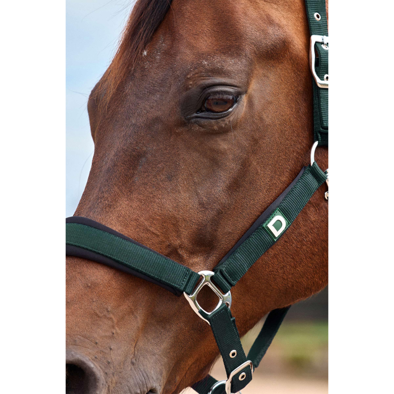 Dublin Neo Comfort Headcollar - Green/Black-1