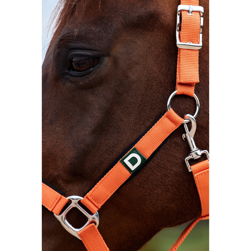 Dublin Neo Comfort Headcollar - Orange-1