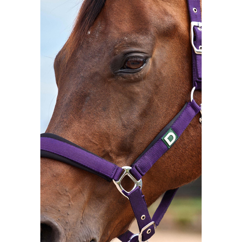 Dublin Neo Comfort Headcollar - Purple-1