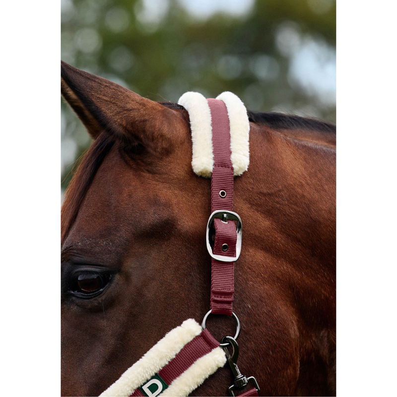 Dublin Soft Fit Headcollar - Burgundy-1