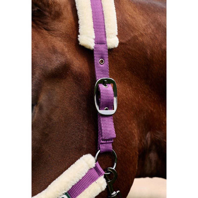 Dublin Soft Fit Headcollar - Dark Purple-1