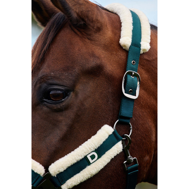 Dublin Soft Fit Headcollar - Green-1
