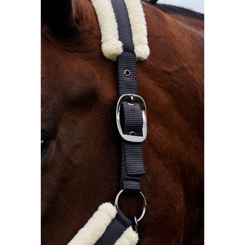 Dublin Soft Fit Headcollar - Navy-1
