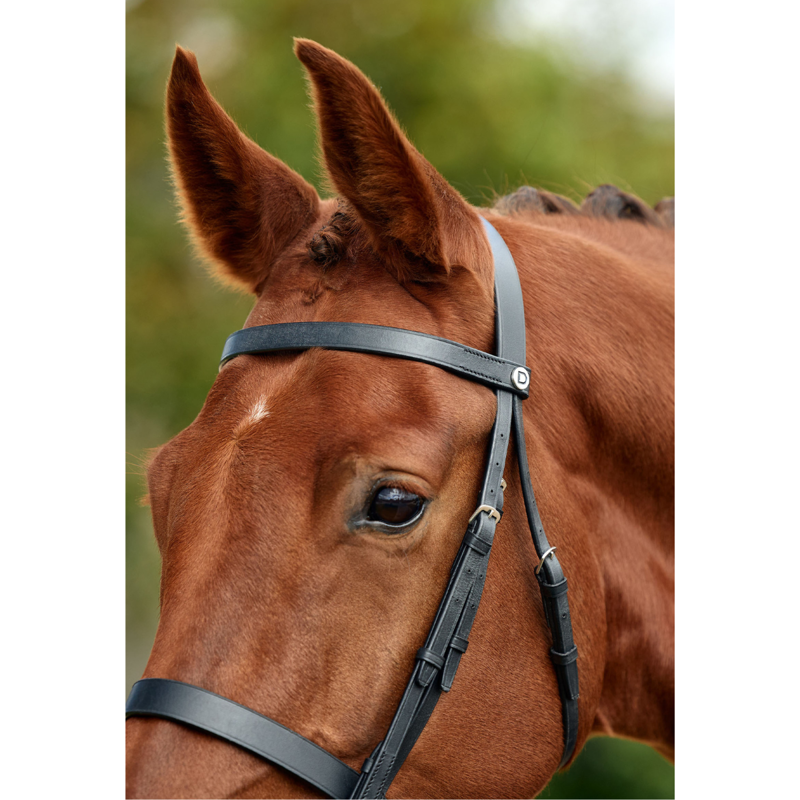 Dublin Flat Cavesson Bridle - Black-1