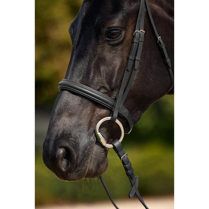 Dublin Padded Cavesson Bridle - Black-1