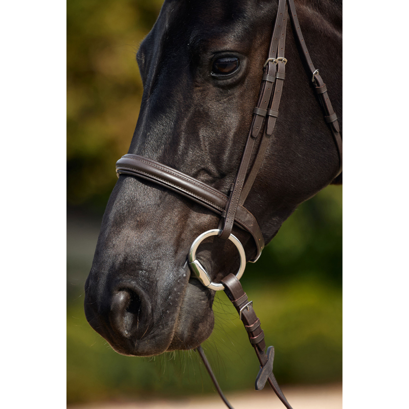 Dublin Padded Cavesson Bridle - Brown-1