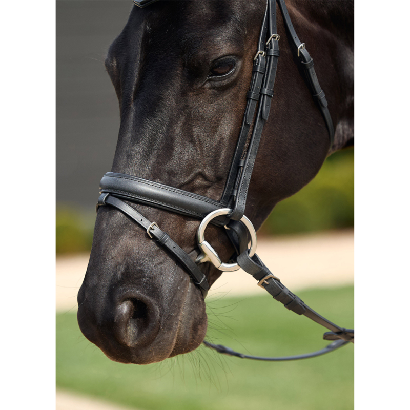 Dublin Padded Comfort Crown Crystal Flash Bridle - Black-1