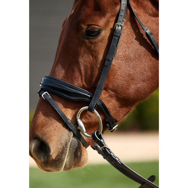 Dublin Padded Comfort Crown Patent Flash Bridle - Black-1