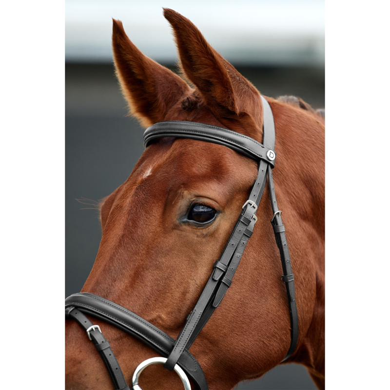 Dublin Padded Flash Bridle - Black-1