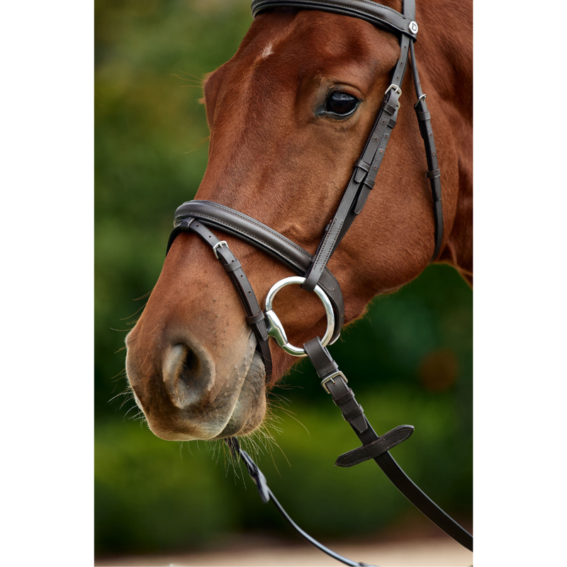 Dublin Padded Flash Bridle - Brown-1
