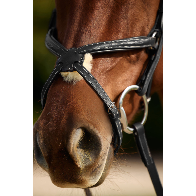 Dublin Padded Mono Crown Fancy Stitch Grackle Bridle - Black-1