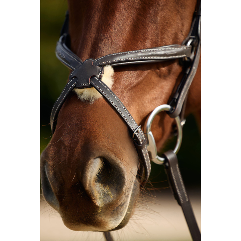 Dublin Padded Mono Crown Fancy Stitch Grackle Bridle - Brown-1