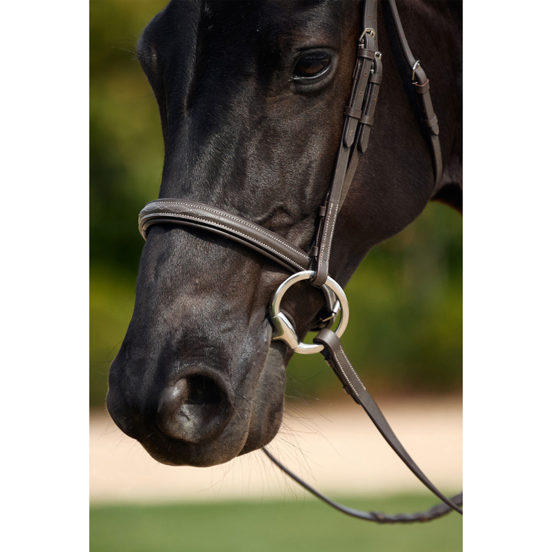 Dublin Padded Mono Crown Fancy Stitch Hunt Bridle - Brown-1