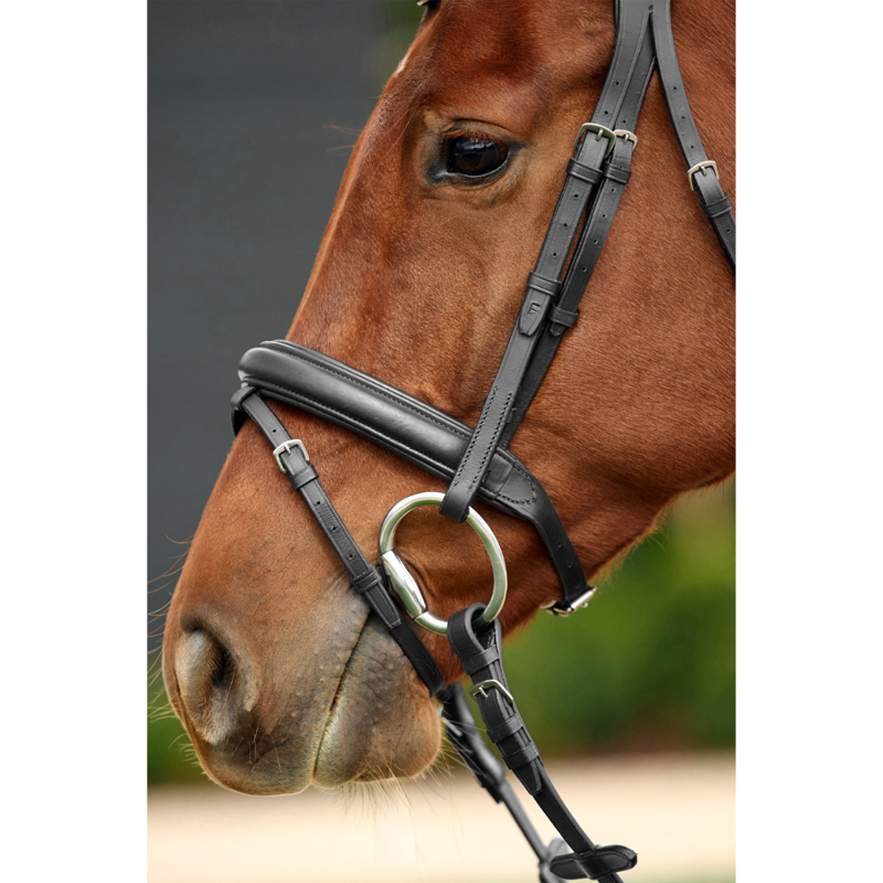 Dublin Padded Mono Crown Flash Bridle - Black-1