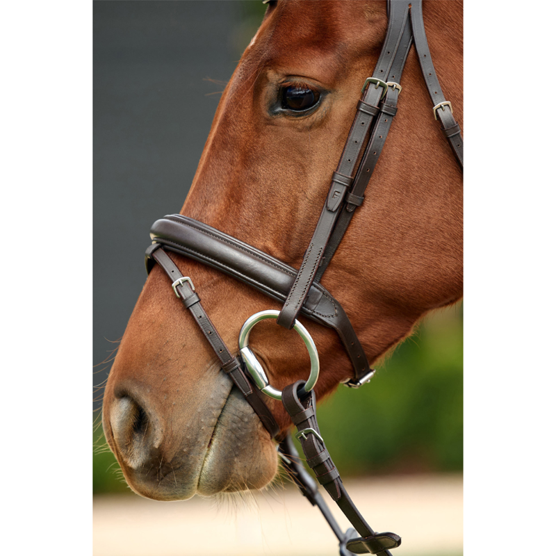 Dublin Padded Mono Crown Flash Bridle - Brown-1