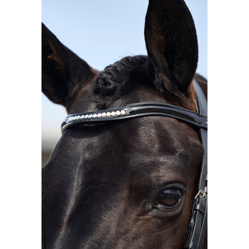 Dublin Padded Mono Crown Patent Flash Bridle - Black-1