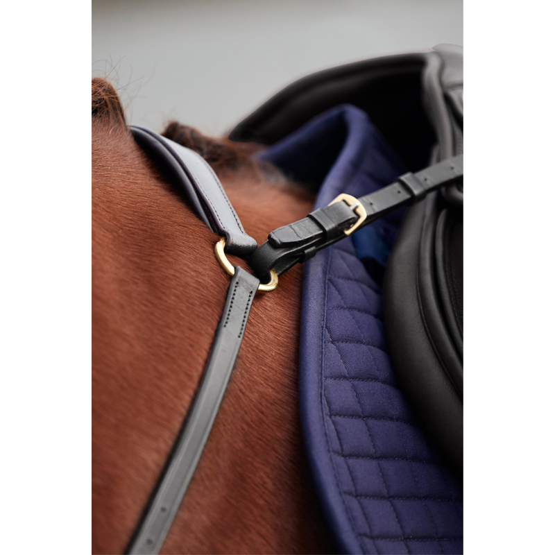 Dublin 3-Point Breastplate - Black-1