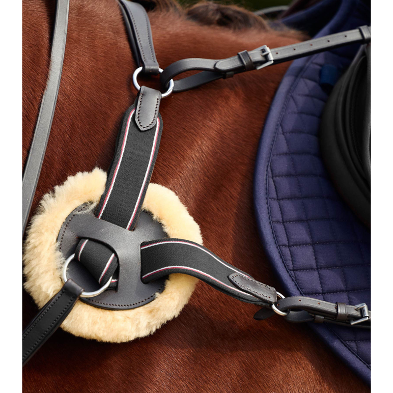 Dublin 5-Point Event Breastplate - Black-1