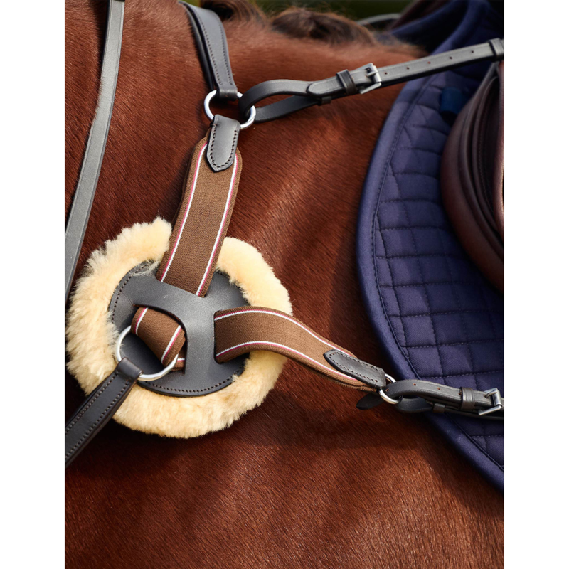 Dublin 5-Point Event Breastplate - Brown-1