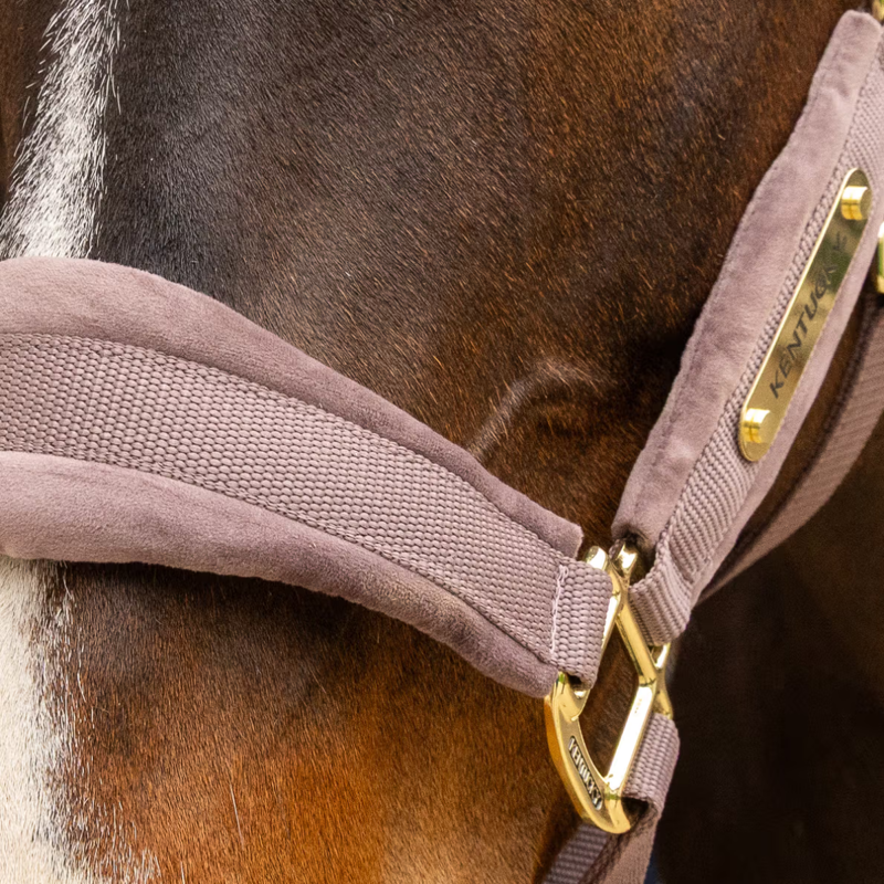 Kentucky Velvet Headcollar - Light Purple-1