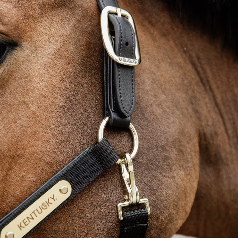 Kentucky Nylon Anatomic Halter - Black-1
