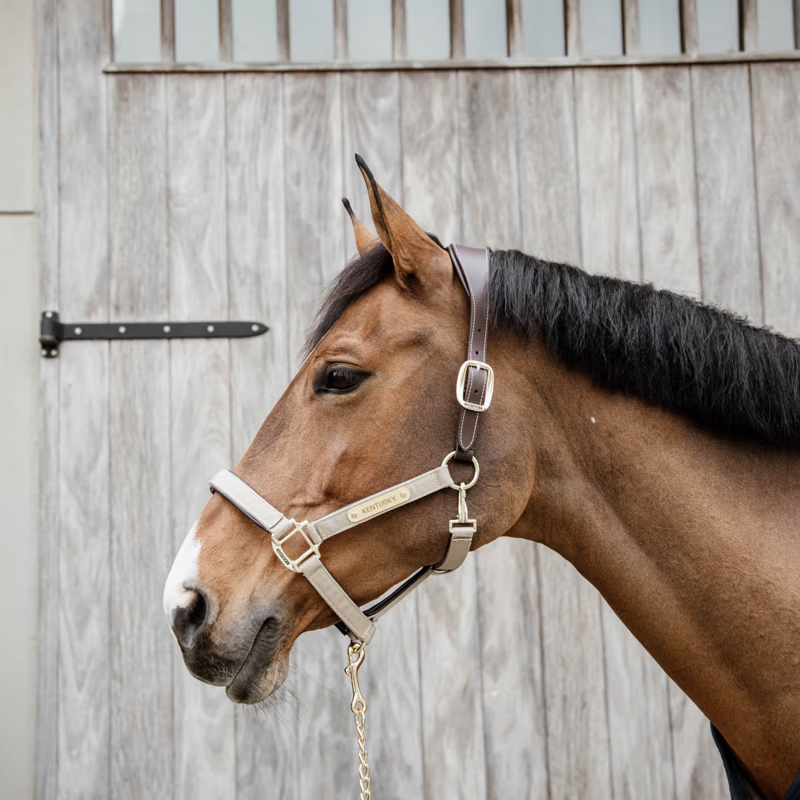 Kentucky Nylon Anatomic Halter - Beige-1
