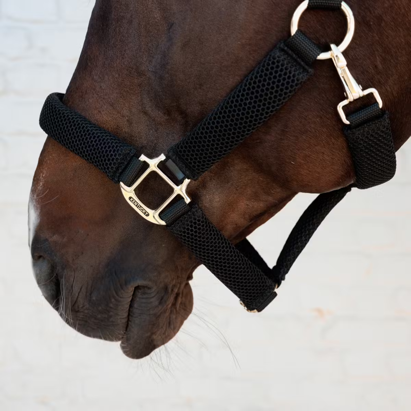 Kentucky 3D Mesh Headcollar - Black-1