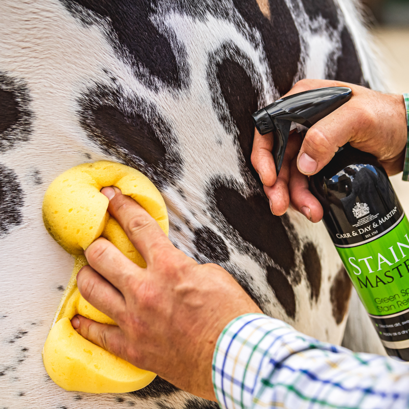 Carr Day and Martin Stainmaster - 500ml-2