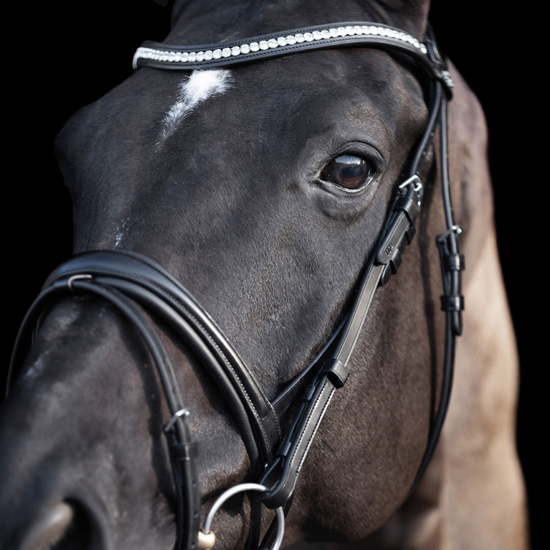 HV Polo Legacy Deluxe Bridle - Black-1