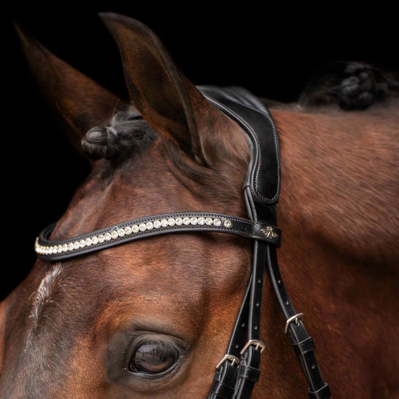HV Polo Legacy Deluxe Bridle - Black/White-1