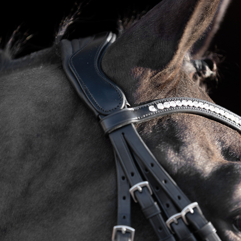 HV Polo Legacy Deluxe Weymouth Bridle - Black-1