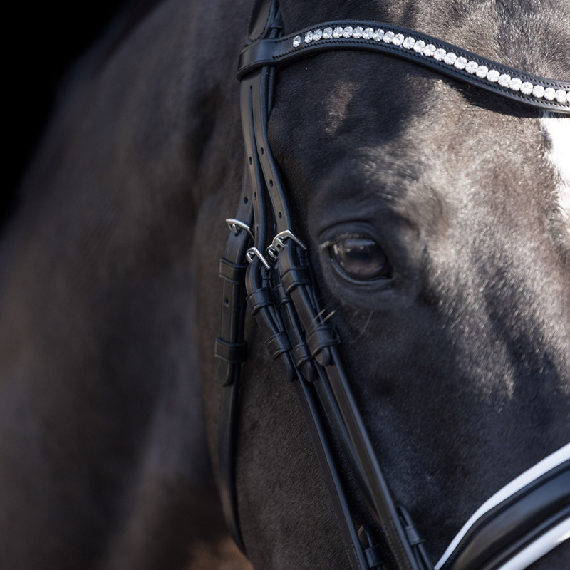 HV Polo Legacy Deluxe Weymouth Bridle - Black/White-1