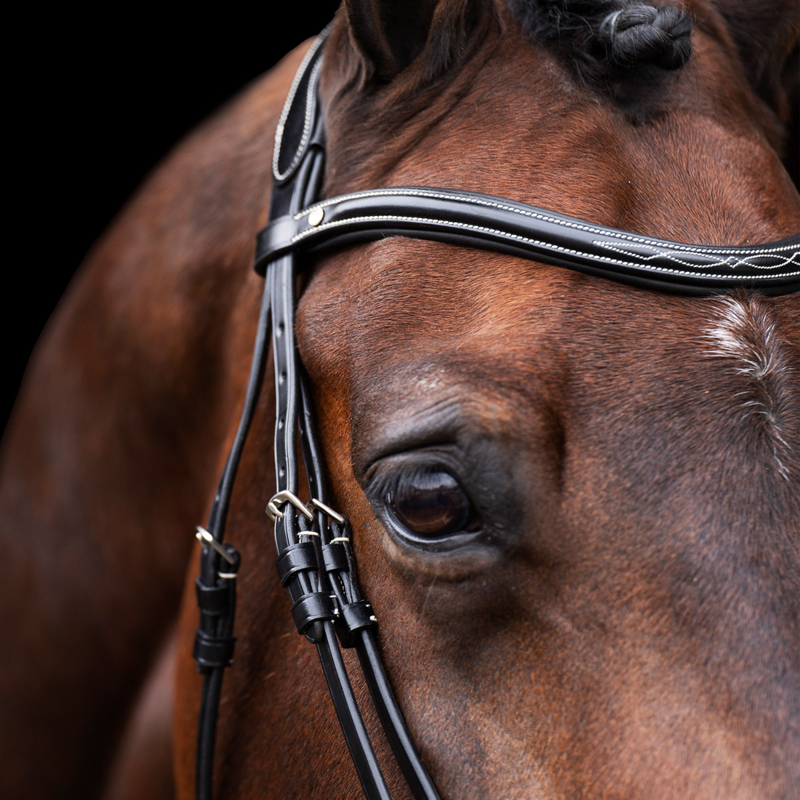HV Polo Legacy Bridle - Black-1