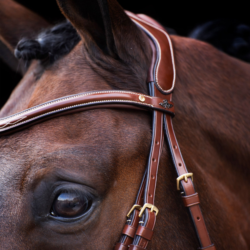 HV Polo Legacy Bridle - Brown-1