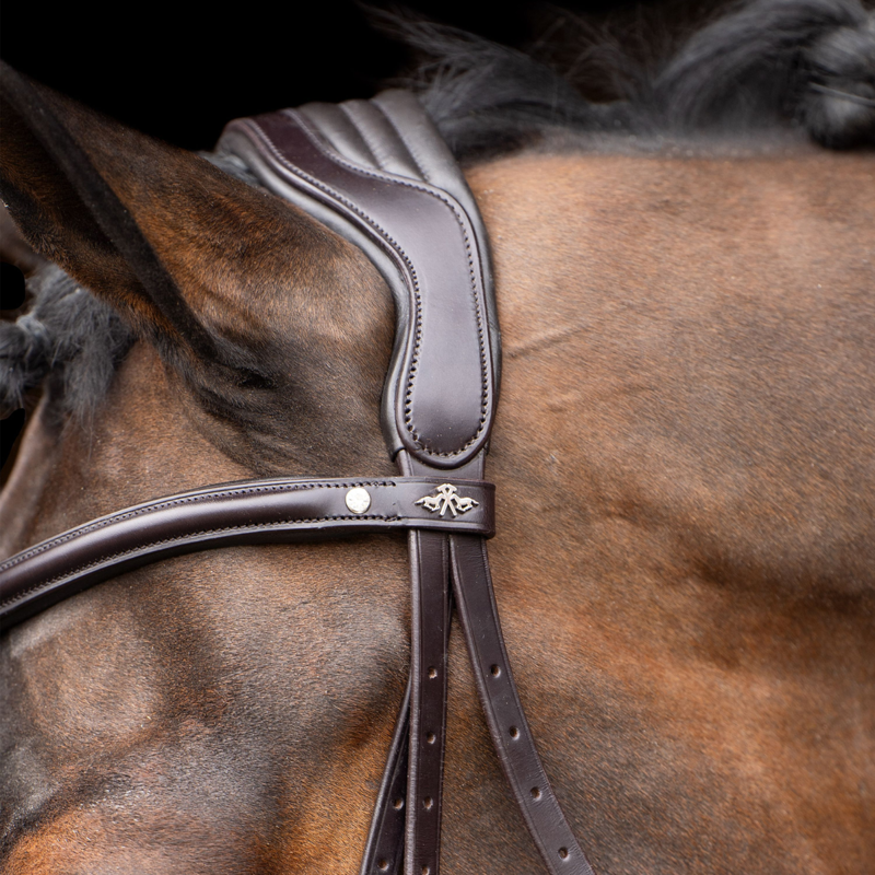 HV Polo Legacy Bridle - Chocolate Brown-1
