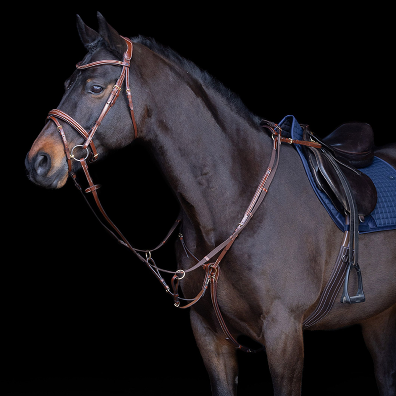 HV Polo Legacy Martingale - Brown