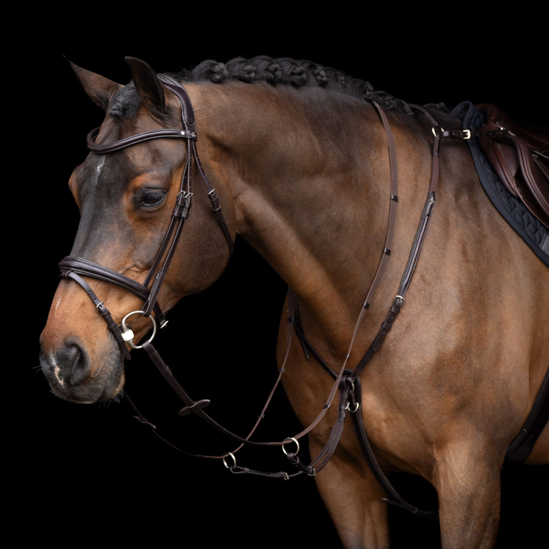 HV Polo Legacy Martingale - Chocolate Brown