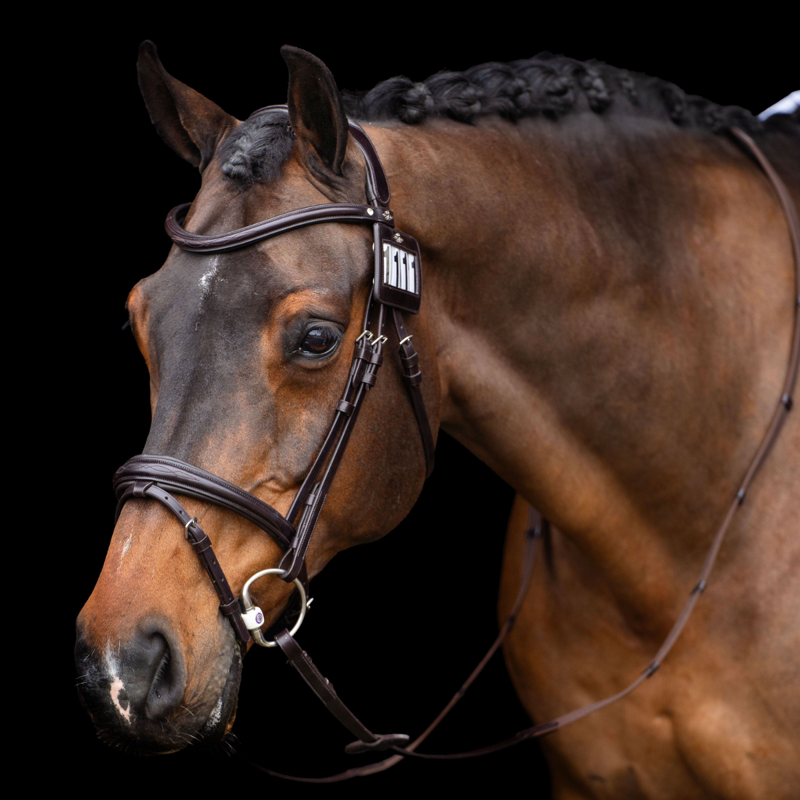 HV Polo Legacy Competition Number - Chocolate Brown-1