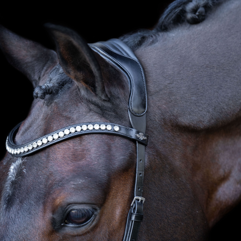 HV Polo Legacy Anatomical Deluxe Bridle - Black-1