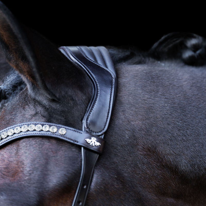 HV Polo Legacy Anatomical Deluxe Bridle - Chocolate Brown-1