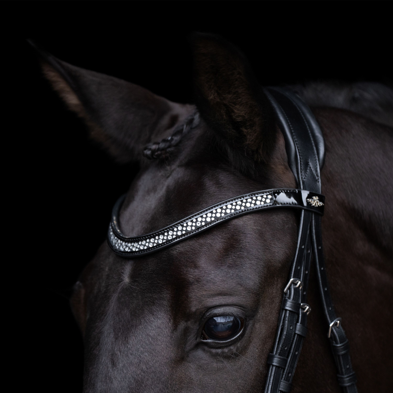 HV Polo Diana Bridle - Black-1