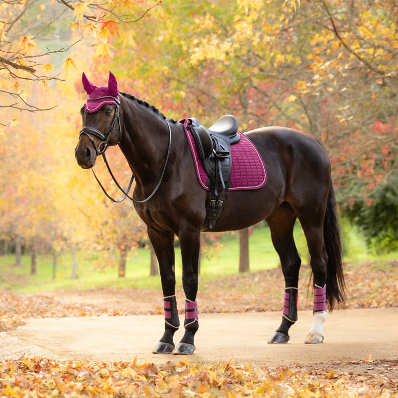 LeMieux Suede Dressage Square - Blackberry-1