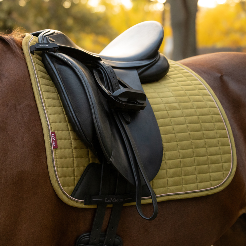 LeMieux Suede Dressage Square - Gooseberry-1
