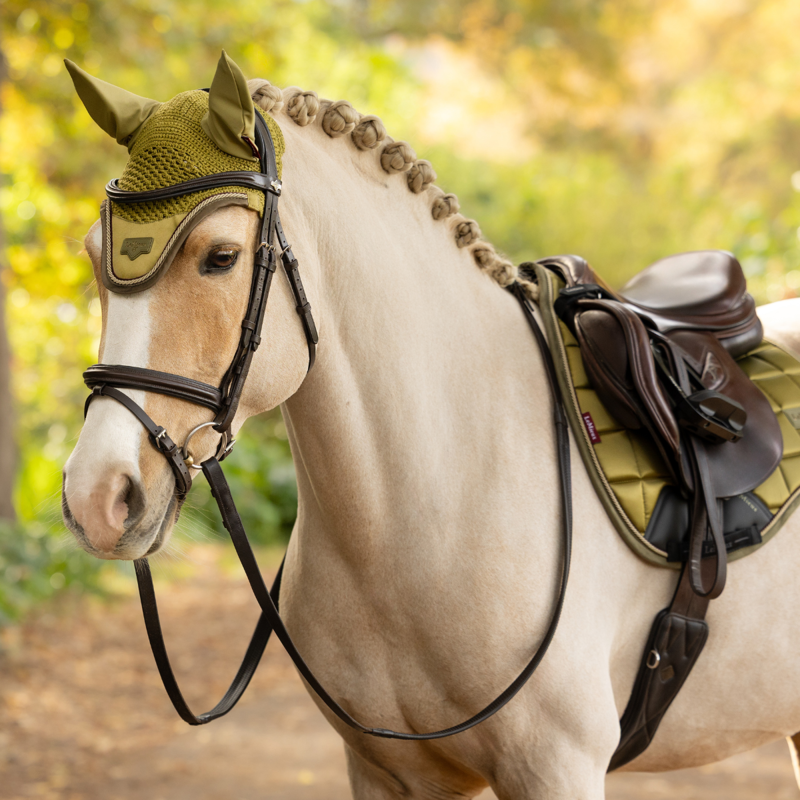 LeMieux Loire Fly Hood - Gooseberry-1