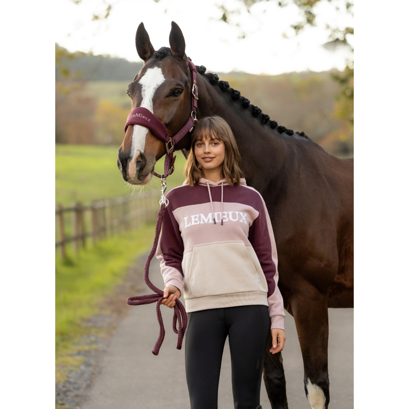 LeMieux Kadie Colour Block Hoodie - Wild Rose-4