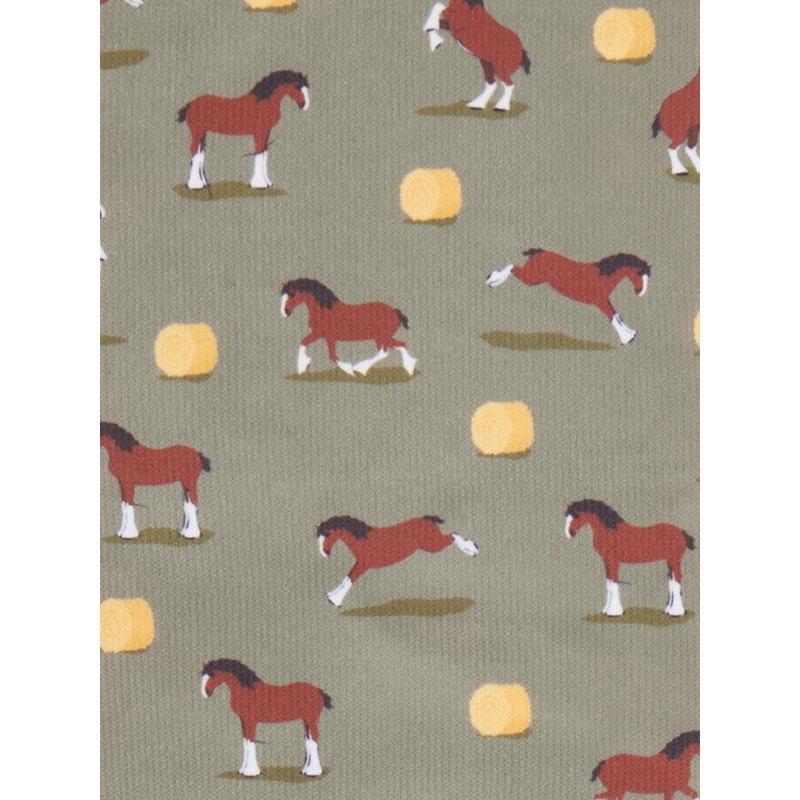 LeMieux Footsie Socks - Clydesdale Willow-1