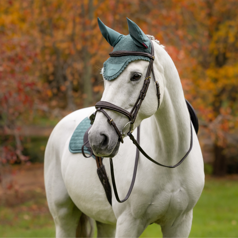 LeMieux Classic Fly Hood - Aloe-1