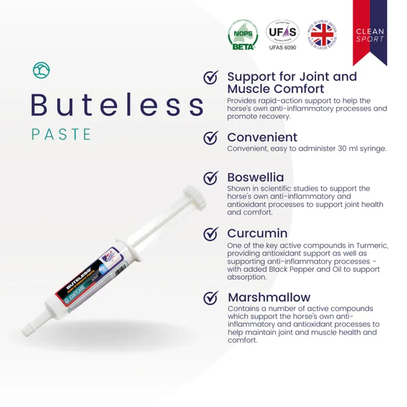 Equine America Buteless High Strength Paste - 30ml-1